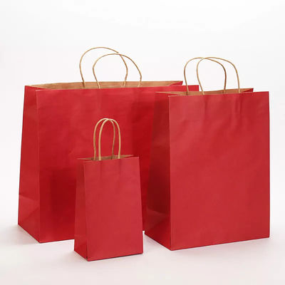 Saco de empacotamento para viagem TUV de Logo Printing Varnishing Kraft Paper do saco de papel