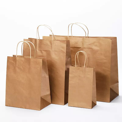 Saco de empacotamento para viagem TUV de Logo Printing Varnishing Kraft Paper do saco de papel