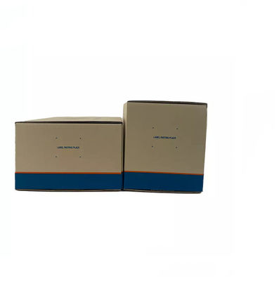A caixa de Matt Lamination Auto Parts Packaging/a caixa caixa de embalagem corrugou o GV