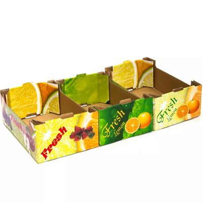 Fruto de dobramento do cartão do OEM e tamanho personalizado caixas de Veg