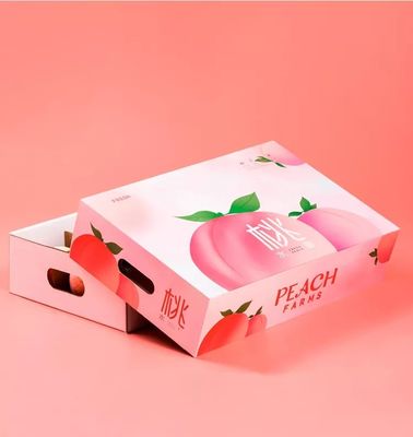 Caixas de empacotamento do fruto de cartão ondulado que envernizam caixas de embalagem de Apple