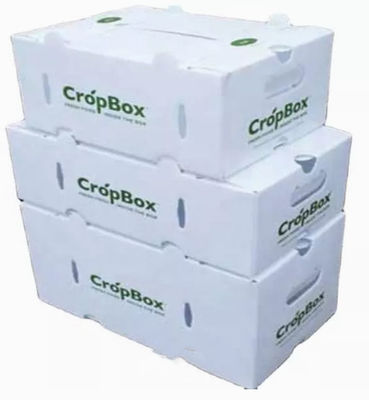 Os vegetais frutificam caixas de empacotamento corrugaram a estática plástica protetora